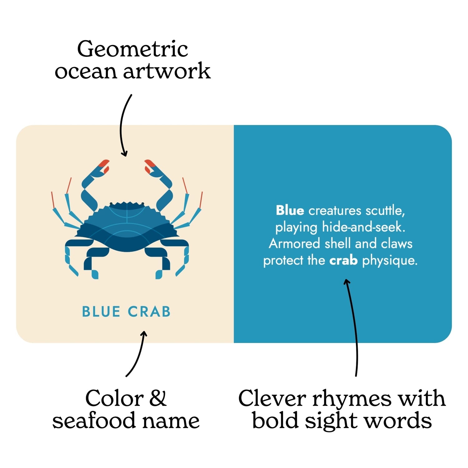 Seafood Rainbow Board Book