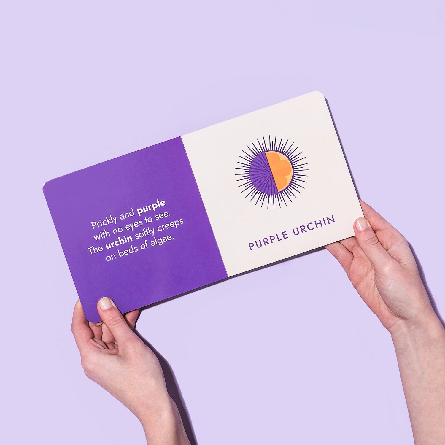 Seafood Rainbow Board Book